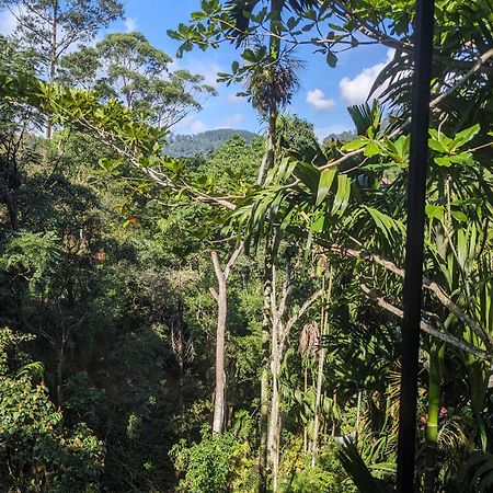 Ella Jungle Inn Homestay And Tree House Eksteriør bilde