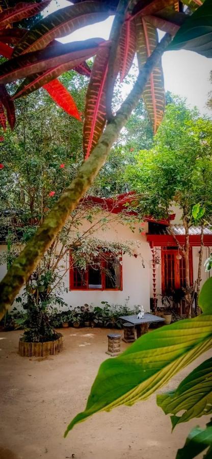 Ella Jungle Inn Homestay And Tree House Eksteriør bilde