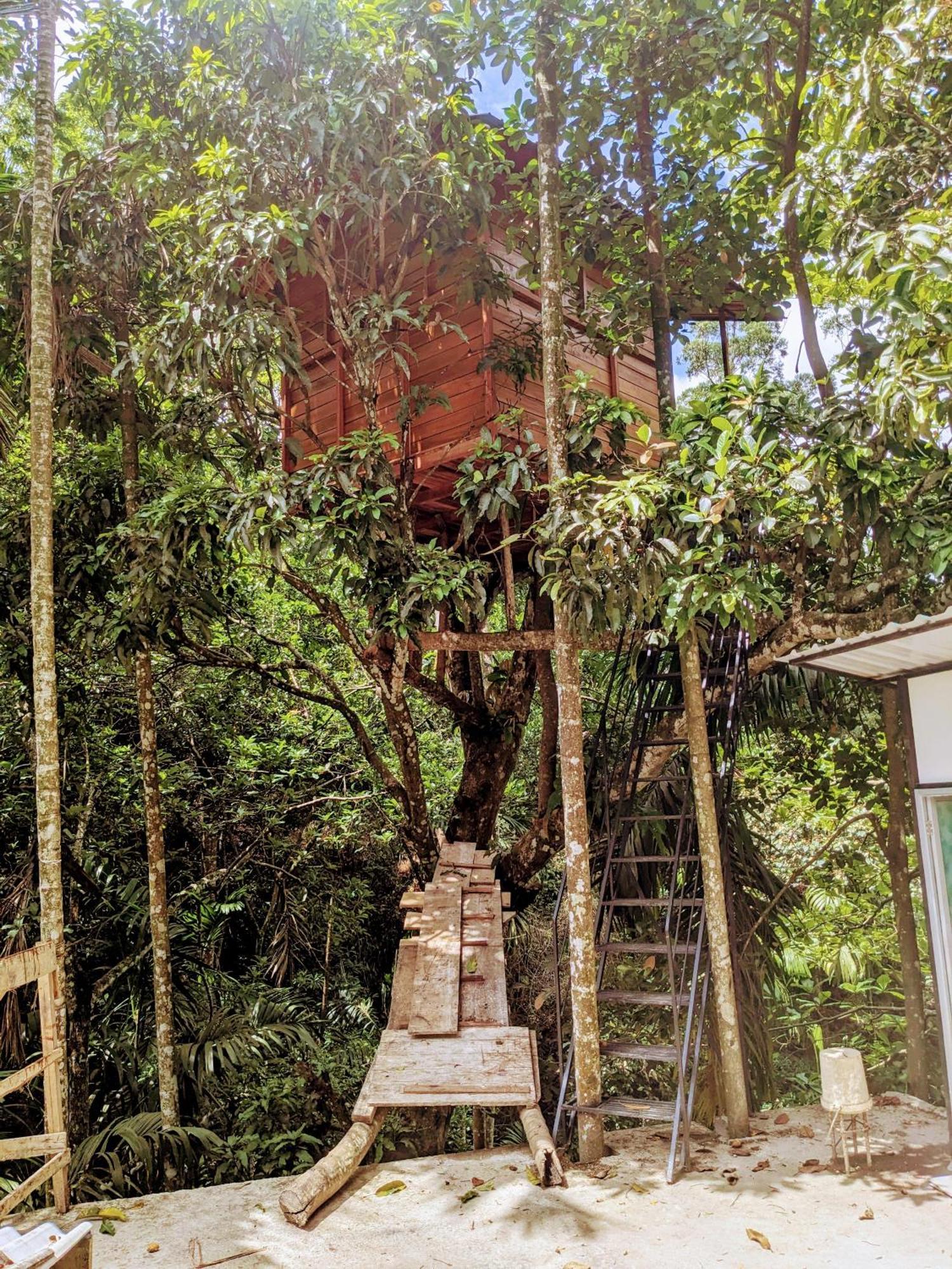 Ella Jungle Inn Homestay And Tree House Eksteriør bilde