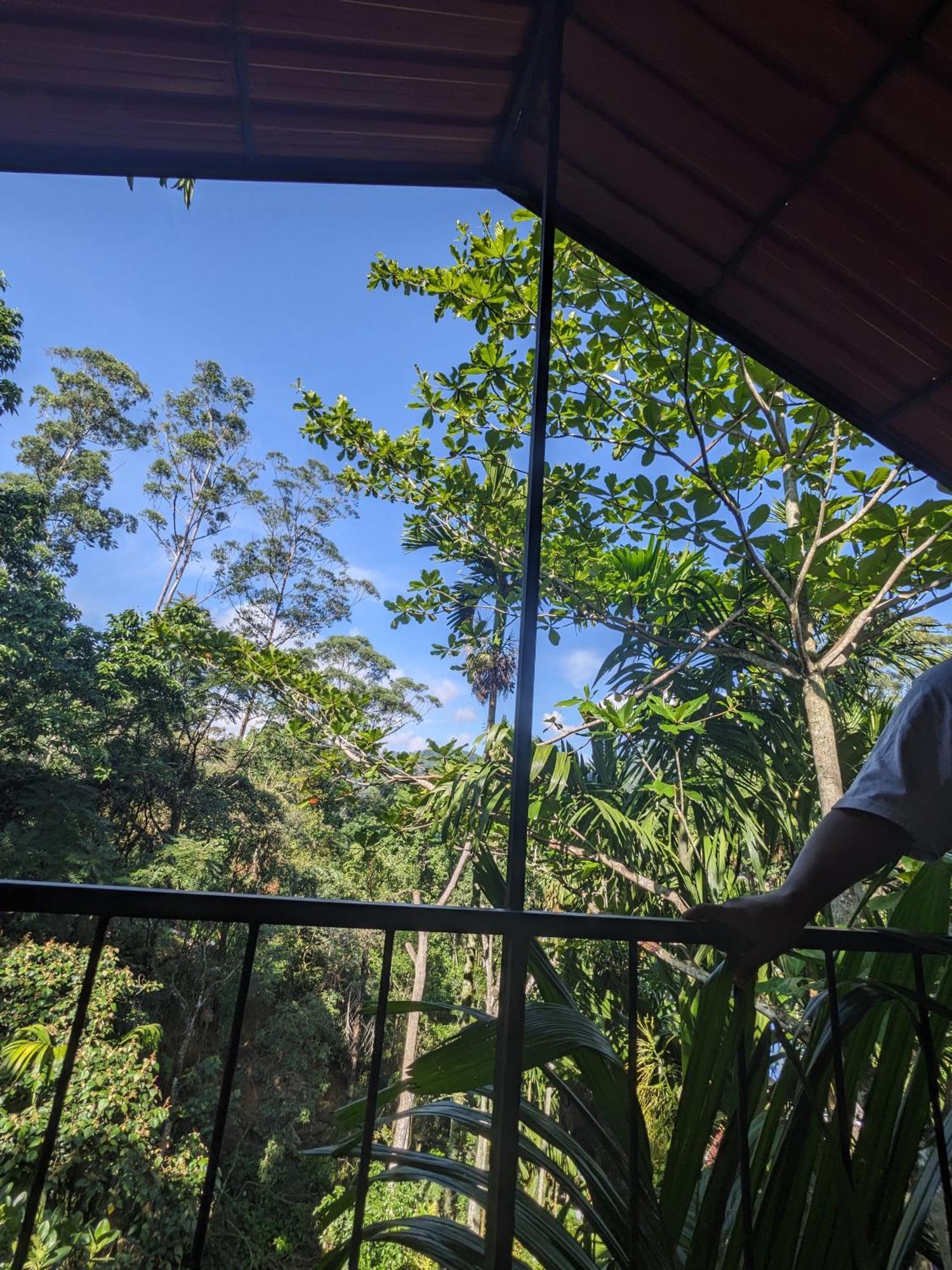 Ella Jungle Inn Homestay And Tree House Eksteriør bilde