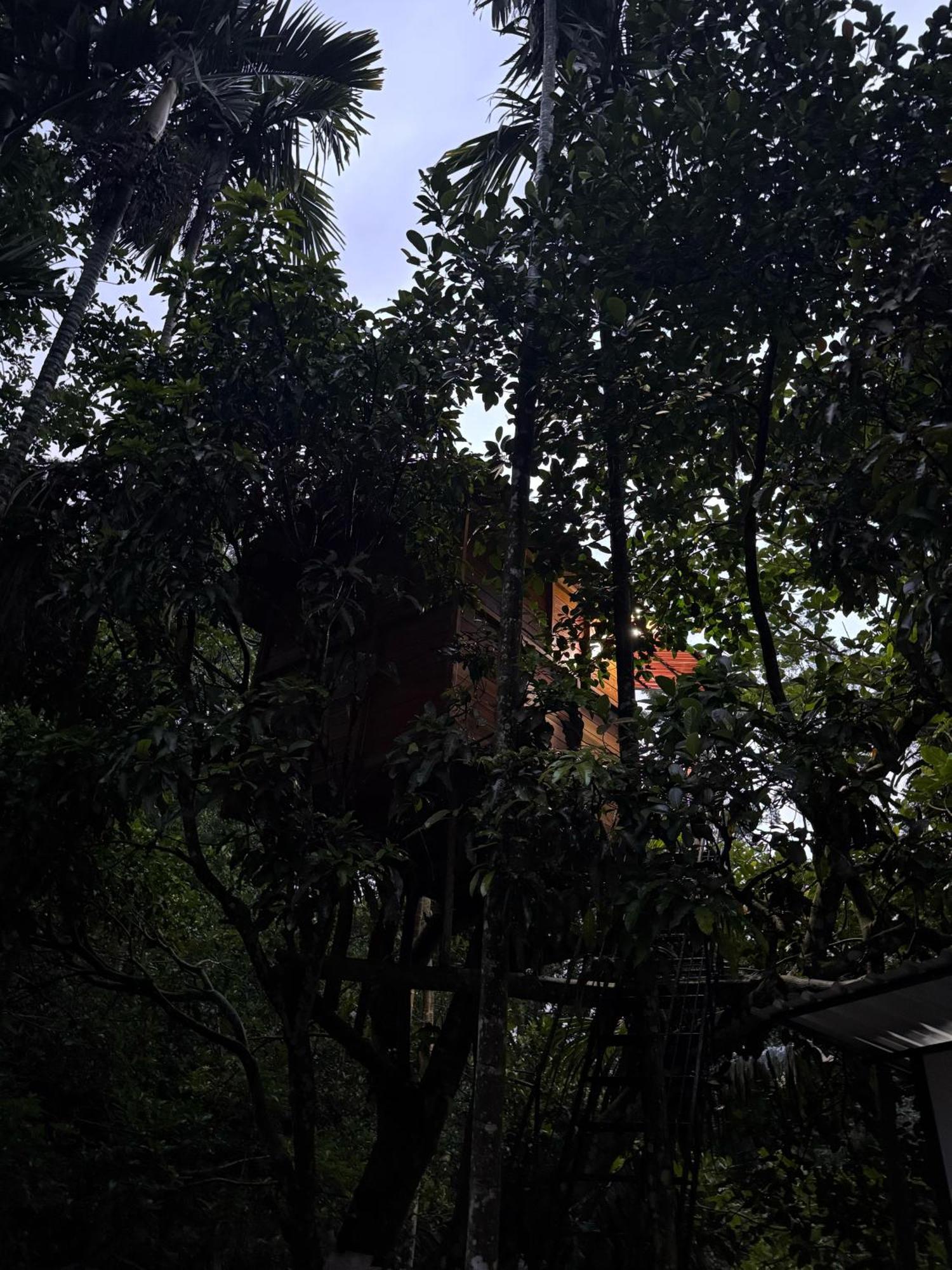 Ella Jungle Inn Homestay And Tree House Eksteriør bilde