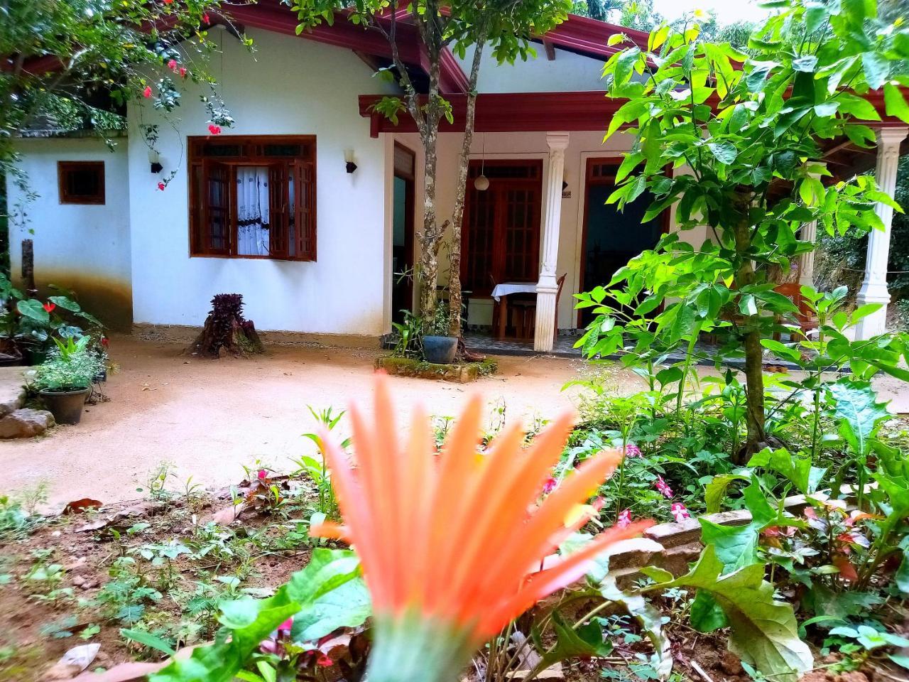 Ella Jungle Inn Homestay And Tree House Eksteriør bilde