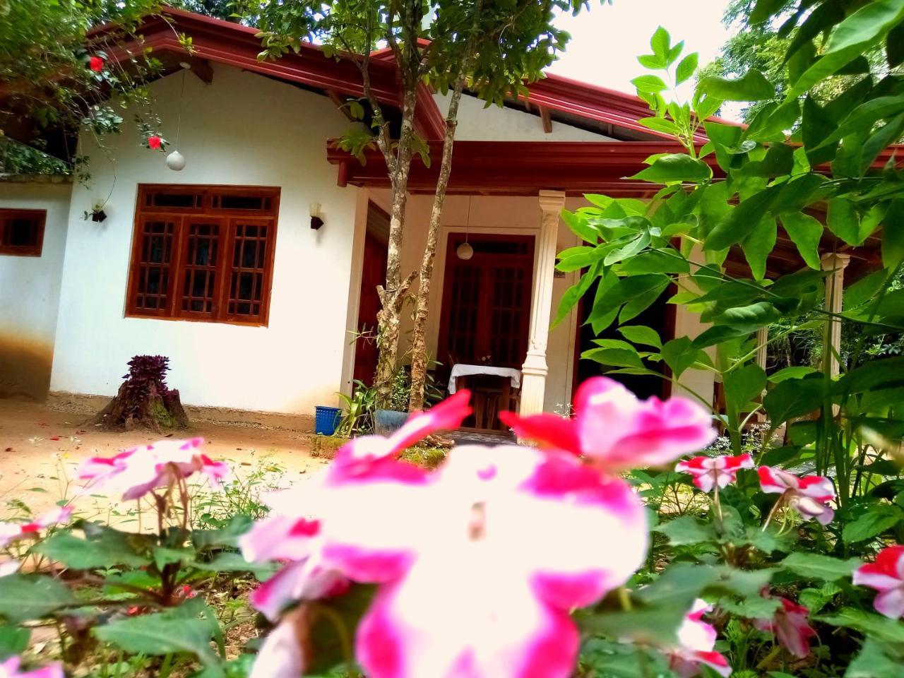 Ella Jungle Inn Homestay And Tree House Eksteriør bilde