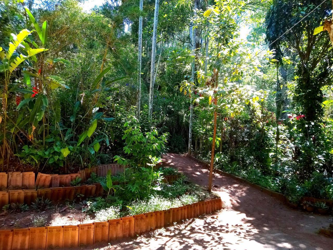 Ella Jungle Inn Homestay And Tree House Eksteriør bilde