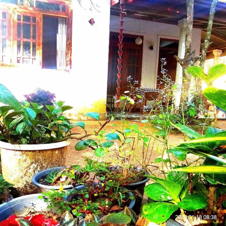 Ella Jungle Inn Homestay And Tree House Eksteriør bilde